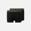 Greca Border Long Trunks 2-pak