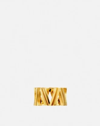 V-ring